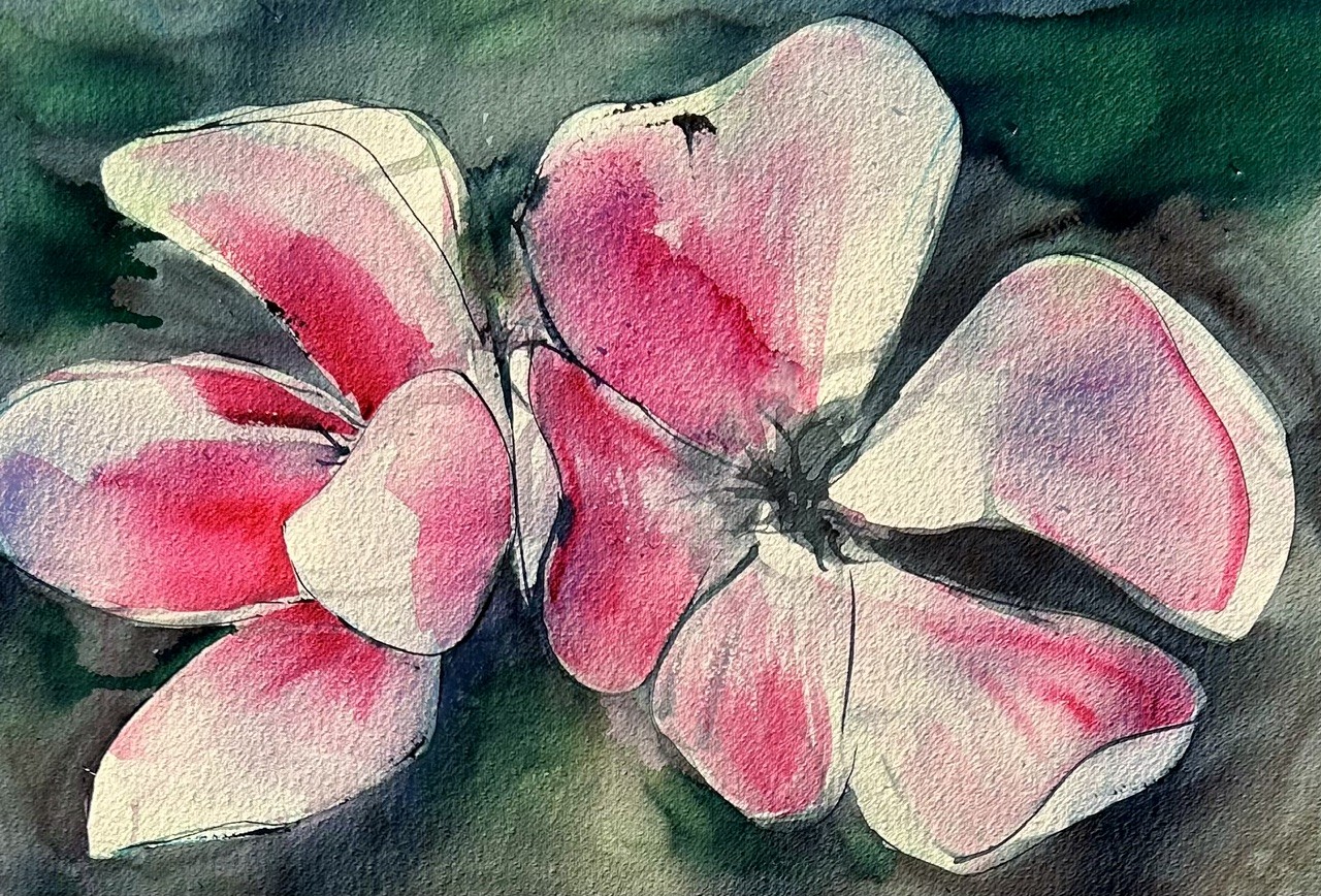 appelblomii